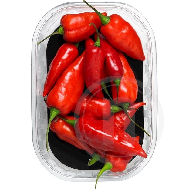 Chili Naga Jolokia (hot)
