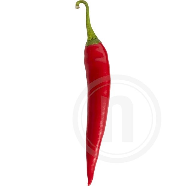 Chili rød øko.