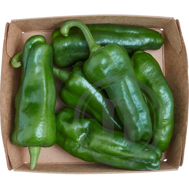 Padron peber øko.