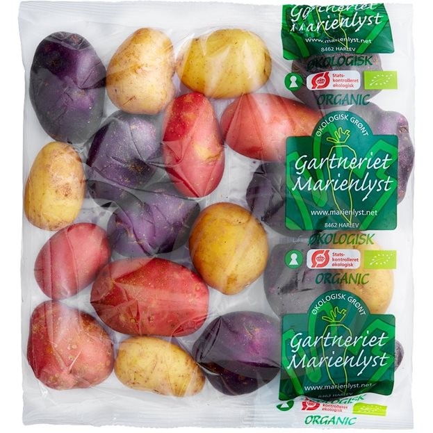 Kartofler Tricolore øko