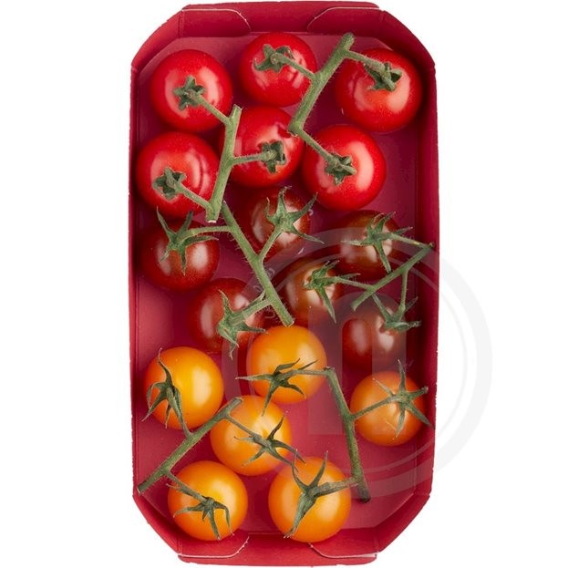 Triple Sweet Cherry tomater