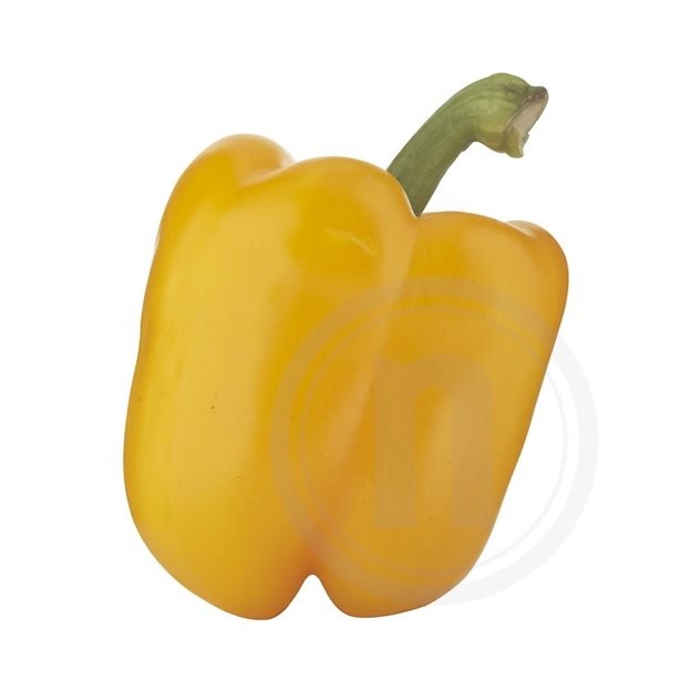 Peberfrugt gul øko.